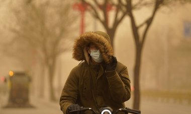 Trung Quốc ‘ngạt thở’ trong bão cát lớn nhất thập kỷ