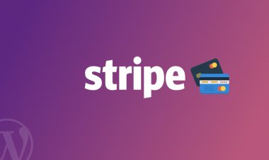 Stripe hiện là công ty khởi nghiệp giá trị nhất của Hoa Kỳ