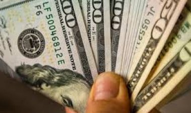 Gần 57 tỷ USD được đổ vào thị trường chứng khoán chỉ trong 1 tuần