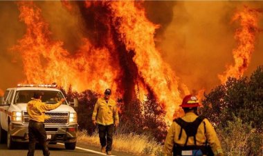 Kế hoạch trị giá 536 triệu USD để chống cháy rừng ở California
