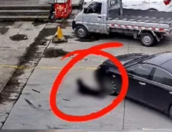 Người đàn ông hối hận để mặc cháu nằm ra đất ăn vạ