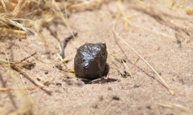 Thiên thạch hạ cánh ở Botswana được theo dõi về nguồn gốc của nó