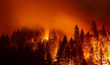 Thiếu nhiên liệu khiến các máy bay chữa cháy của California bị loại