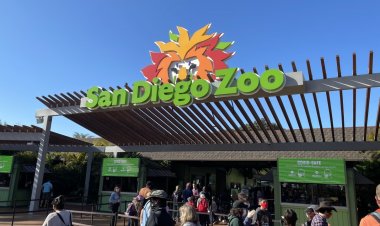 Báo tuyết ở vườn thú San Diego xét nghiệm dương tính với COVID-19