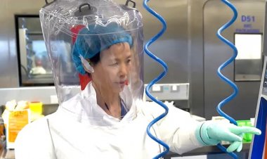 Báo cáo phòng thí nghiệm Vũ Hán hé lộ khả năng rò rỉ COVID-19