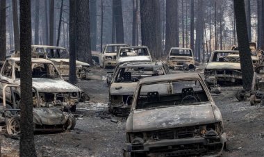 Cháy rừng hoành hành ở phía bắc California và đe dọa những người khác