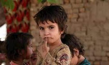 Liên hợp quốc kêu gọi các nước không trục xuất người tị nạn Afghanistan